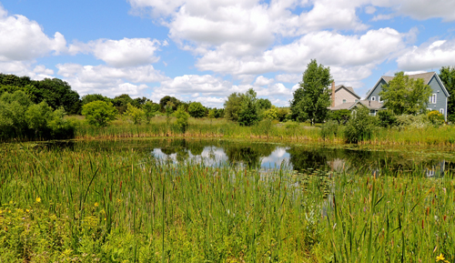 Sanctuary pond 3_edited