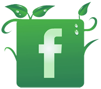 organic-facebook